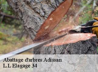 Abattage d'arbres  adissan-34230 L.L Elagage 34 