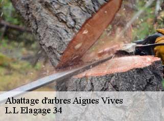 Abattage d'arbres  aigues-vives-34210 L.L Elagage 34 