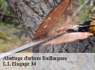 Abattage d'arbres  baillargues-34670 L.L Elagage 34 