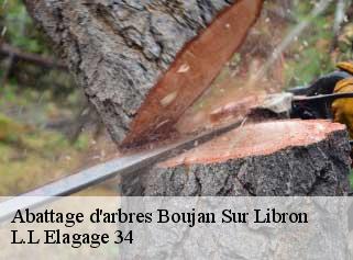 Abattage d'arbres  boujan-sur-libron-34760 Beaumann