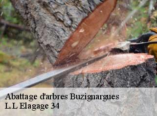 Abattage d'arbres  buzignargues-34160 Beaumann