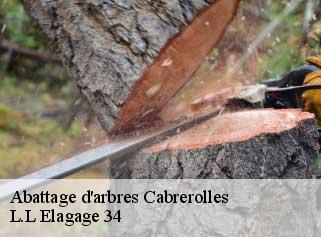 Abattage d'arbres  cabrerolles-34480 L.L Elagage 34 