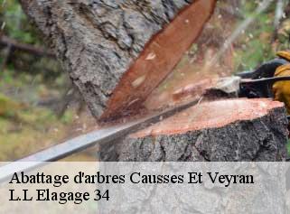 Abattage d'arbres  causses-et-veyran-34490 Beaumann
