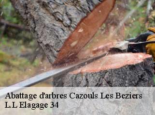 Abattage d'arbres  cazouls-les-beziers-34370 L.L Elagage 34 