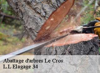 Abattage d'arbres  le-cros-34520 L.L Elagage 34 