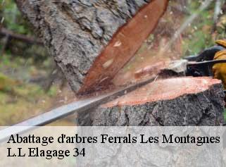 Abattage d'arbres  ferrals-les-montagnes-34210 Beaumann
