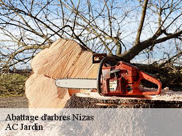 Abattage d'arbres nizas-34320 AC Jardin