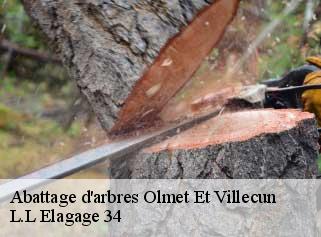 Abattage d'arbres  olmet-et-villecun-34700 L.L Elagage 34 