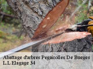 Abattage d'arbres  pegairolles-de-bueges-34380 Beaumann