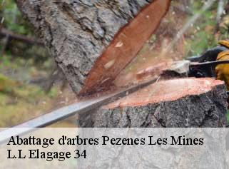 Abattage d'arbres  pezenes-les-mines-34600 J Elagage 34