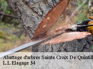 Abattage d'arbres  sainte-croix-de-quintillargu-34270 L.L Elagage 34 