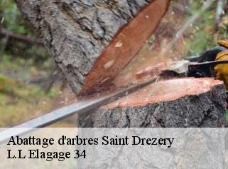 Abattage d'arbres  saint-drezery-34160 L.L Elagage 34 