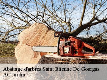 Abattage d'arbres saint-etienne-de-gourgas-34700 Beaumann