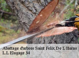 Abattage d'arbres  saint-felix-de-l-heras-34520 Beaumann