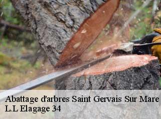 Abattage d'arbres  saint-gervais-sur-mare-34610 L.L Elagage 34 