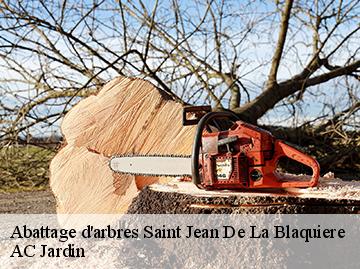 Abattage d'arbres saint-jean-de-la-blaquiere-34700 AC Jardin