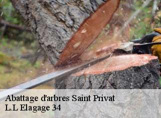Abattage d'arbres  saint-privat-34700 L.L Elagage 34 