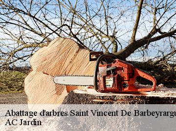 Abattage d'arbres saint-vincent-de-barbeyrargu-34730 AC Jardin