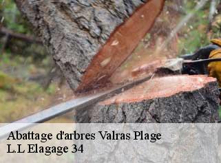 Abattage d'arbres  valras-plage-34350 L.L Elagage 34 