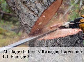 Abattage d'arbres  villemagne-l-argentiere-34600 L.L Elagage 34 