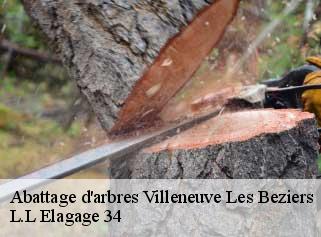 Abattage d'arbres  villeneuve-les-beziers-34420 J Elagage 34