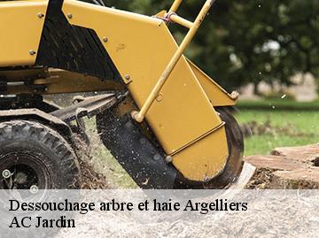 Dessouchage arbre et haie argelliers-34380 AC Jardin