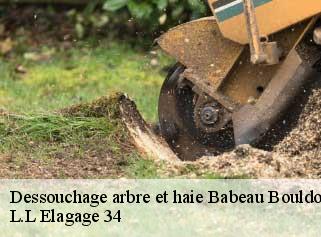 Dessouchage arbre et haie  babeau-bouldoux-34360 L.L Elagage 34 