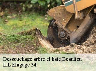 Dessouchage arbre et haie  beaulieu-34160 L.L Elagage 34 
