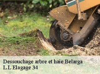 Dessouchage arbre et haie  belarga-34230 L.L Elagage 34 