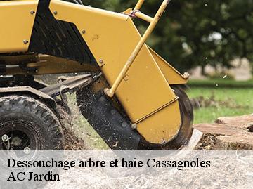 Dessouchage arbre et haie cassagnoles-34210 AC Jardin