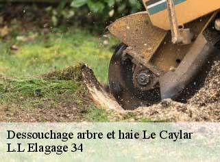 Dessouchage arbre et haie  le-caylar-34520 L.L Elagage 34 