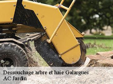 Dessouchage arbre et haie galargues-34160 AC Jardin