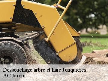 Dessouchage arbre et haie  jonquieres-34725 AC Jardin
