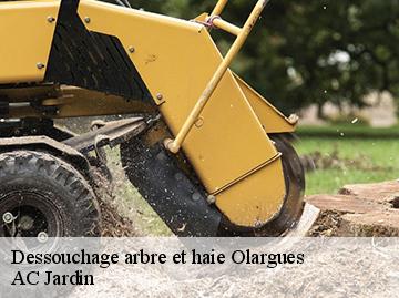 Dessouchage arbre et haie olargues-34390 AC Jardin
