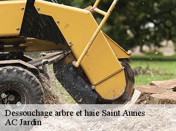 Dessouchage arbre et haie saint-aunes-34130 AC Jardin