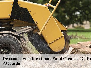Dessouchage arbre et haie saint-clement-de-riviere-34980 AC Jardin