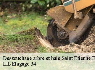 Dessouchage arbre et haie  saint-etienne-estrechoux-34260 L.L Elagage 34 