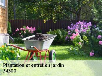 Plantation et entretien jardin  34300