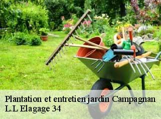 Plantation et entretien jardin  campagnan-34230 L.L Elagage 34 