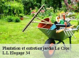 Plantation et entretien jardin  le-cros-34520 J Elagage 34