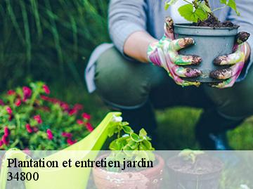 Plantation et entretien jardin 34800