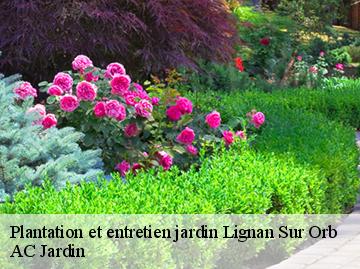 Plantation et entretien jardin lignan-sur-orb-34490 AC Jardin