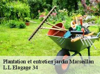 Plantation et entretien jardin  marseillan-34340 J Elagage 34