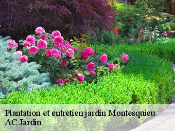 Plantation et entretien jardin montesquieu-34320 AC Jardin
