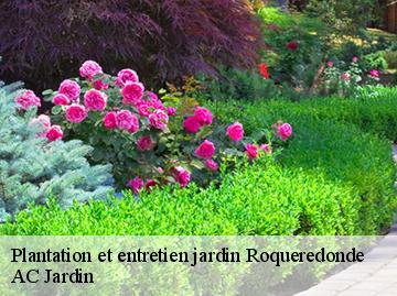 Plantation et entretien jardin roqueredonde-34650 AC Jardin