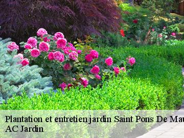 Plantation et entretien jardin saint-pons-de-mauchiens-34230 AC Jardin