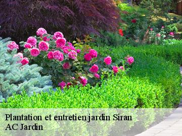 Plantation et entretien jardin siran-34210 AC Jardin