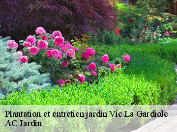 Plantation et entretien jardin  vic-la-gardiole-34110 AC Jardin