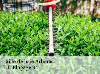Taille de haie  arboras-34150 J Elagage 34