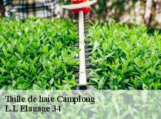 Taille de haie  camplong-34260 L.L Elagage 34 